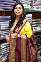 Actress Aashikka Meka Inaugurates Pochampally IKAT Art Mela